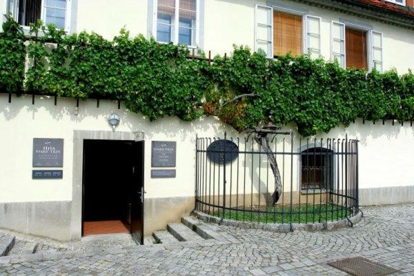 Apartma4us Maribor Exterior foto
